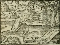 An illustration from Emblemes d'Alciat : en latin et francois vers povr vers (1574)