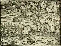 An illustration from Emblemes d'Alciat : en latin et francois vers povr vers (1574)
