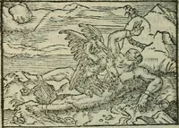 An illustration from Emblemes d'Alciat : en latin et francois vers povr vers (1574)