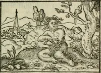 An illustration from Emblemes d'Alciat : en latin et francois vers povr vers (1574)