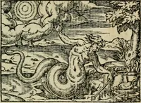 An illustration from Emblemes d'Alciat : en latin et francois vers povr vers (1574)
