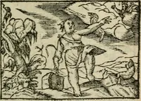 An illustration from Emblemes d'Alciat : en latin et francois vers povr vers (1574)