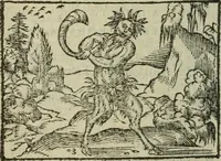 An illustration from Emblemes d'Alciat : en latin et francois vers povr vers (1574)