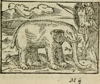 An illustration from Emblemes d'Alciat : en latin et francois vers povr vers (1574)