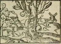 An illustration from Emblemes d'Alciat : en latin et francois vers povr vers (1574)