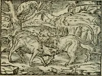 An illustration from Emblemes d'Alciat : en latin et francois vers povr vers (1574)