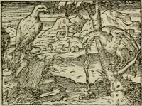 An illustration from Emblemes d'Alciat : en latin et francois vers povr vers (1574)