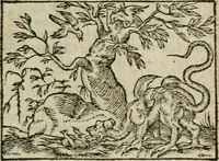 An illustration from Emblemes d'Alciat : en latin et francois vers povr vers (1574)