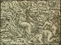 An illustration from Emblemes d'Alciat : en latin et francois vers povr vers (1574)