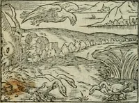 An illustration from Emblemes d'Alciat : en latin et francois vers povr vers (1574)