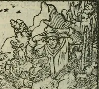 An illustration from Emblemes d'Alciat : en latin et francois vers povr vers (1574)