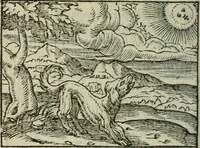 An illustration from Emblemes d'Alciat : en latin et francois vers povr vers (1574)