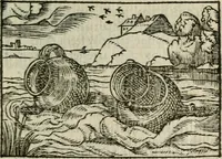 An illustration from Emblemes d'Alciat : en latin et francois vers povr vers (1574)