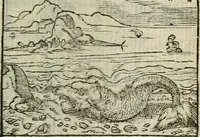 An illustration from Emblemes d'Alciat : en latin et francois vers povr vers (1574)