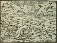 An illustration from Emblemes d'Alciat : en latin et francois vers povr vers (1574)