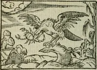 An illustration from Emblemes d'Alciat : en latin et francois vers povr vers (1574)