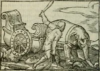 An illustration from Emblemes d'Alciat : en latin et francois vers povr vers (1574)