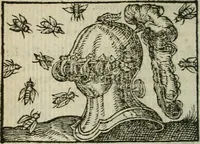 An illustration from Emblemes d'Alciat : en latin et francois vers povr vers (1574)