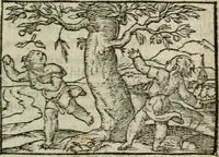An illustration from Emblemes d'Alciat : en latin et francois vers povr vers (1574)