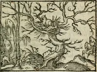 Picture 206 of 230 from Emblemes d'Alciat : en latin et francois vers povr vers (1574), leaf 302