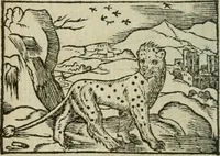 An illustration from Emblemes d'Alciat : en latin et francois vers povr vers (1574)