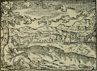 An illustration from Emblemes d'Alciat : en latin et francois vers povr vers (1574)