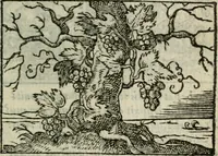 An illustration from Emblemes d'Alciat : en latin et francois vers povr vers (1574)
