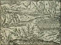 An illustration from Emblemes d'Alciat : en latin et francois vers povr vers (1574)
