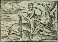 An illustration from Emblemes d'Alciat : en latin et francois vers povr vers (1574)