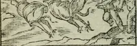 An illustration from Emblemes d'Alciat : en latin et francois vers povr vers (1574)