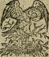 An illustration from Emblemes d'Alciat : en latin et francois vers povr vers (1574)