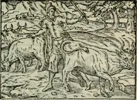 An illustration from Emblemes d'Alciat : en latin et francois vers povr vers (1574)