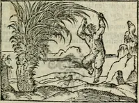 An illustration from Emblemes d'Alciat : en latin et francois vers povr vers (1574)