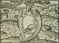 An illustration from Emblemes d'Alciat : en latin et francois vers povr vers (1574)