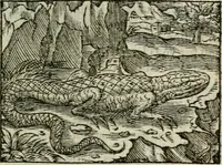 An illustration from Emblemes d'Alciat : en latin et francois vers povr vers (1574)