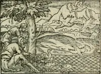 Picture 57 of 230 from Emblemes d'Alciat : en latin et francois vers povr vers (1574), leaf 82