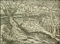 An illustration from Emblemes d'Alciat : en latin et francois vers povr vers (1574)