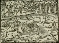 An illustration from Emblemes d'Alciat : en latin et francois vers povr vers (1574)