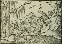 An illustration from Emblemes d'Alciat : en latin et francois vers povr vers (1574)