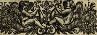 Picture 72 of 196 from Emblemes divers, representez dans cent quarante figures en taille-douce : Enrichis de discours moraux, philosophiques, politiques, et hystoriques ... Où il est traité de la science des roys, princes, ministres d'estats, et generaux d'armées (1659), leaf 207