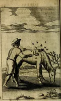 An illustration from Emblemes divers, representez dans cent quarante figures en taille-douce : Enrichis de discours moraux, philosophiques, politiques, et hystoriques ... Où il est traité de la science des roys, princes, ministres d'estats, et generaux d'armées (1659)