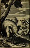 An illustration from Emblemes divers, representez dans cent quarante figures en taille-douce : Enrichis de discours moraux, philosophiques, politiques, et hystoriques ... Où il est traité de la science des roys, princes, ministres d'estats, et generaux d'armées (1659)