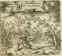 An illustration from Emblemes, ov, Devises chrestiennes (1571)