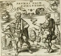An illustration from Emblemes, ov, Devises chrestiennes (1571)