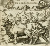 An illustration from Emblemes, ov, Devises chrestiennes (1571)