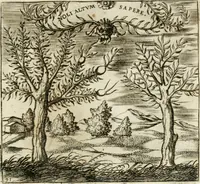 An illustration from Emblemes, ov, Devises chrestiennes (1571)