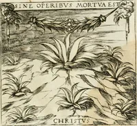 An illustration from Emblemes, ov, Devises chrestiennes (1571)
