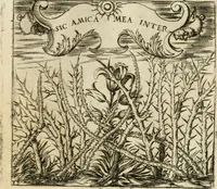 An illustration from Emblemes, ov, Devises chrestiennes (1571)