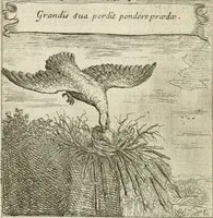 Picture 48 of 108 from Emblemes sacrez sur le tres-saint et tres-adorable sacrement de l'eucharistie (1667), leaf 105