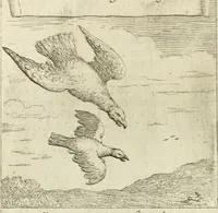 An illustration from Emblemes sacrez sur le tres-saint et tres-adorable sacrement de l'eucharistie (1667)